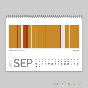 Fröhlicher Tischkalender "Colour Explosion" 2025 | Format DIN A6 - Kalender - |c|o|l|o|u|r| of the day®