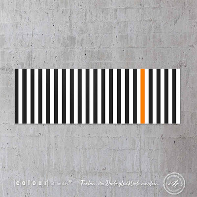 Modernes Acrylglasbild | Ausstellungsstück | Format 120x40cm | Titel "More than just black and white." - Acrylglasbild - |c|o|l|o|u|r| of the day®