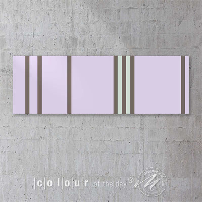 Modernes Acrylglasbild glänzend | Größen XXS – XXL | Wandbild "Lavender" - Acrylglasbild - |c|o|l|o|u|r| of the day®