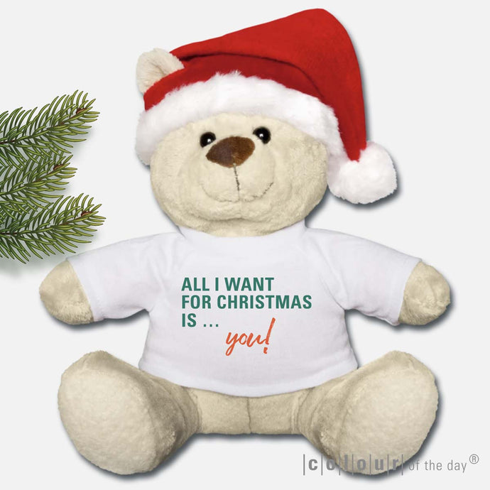 Kuscheliger Teddy mit Weihnachtmütze – 