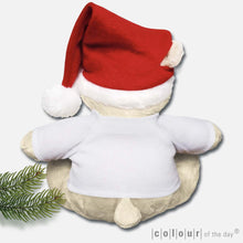 Kuscheliger Teddy mit Weihnachtmütze – "All I want for Christmas is you!"